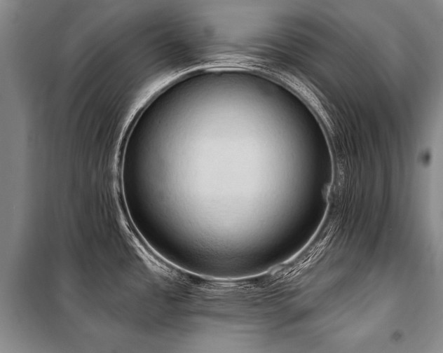X0000101211485200806271403