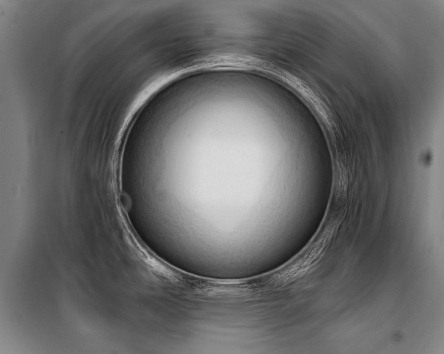 X0000101211486200806271403