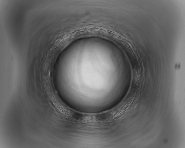 X0000101211489200806271402