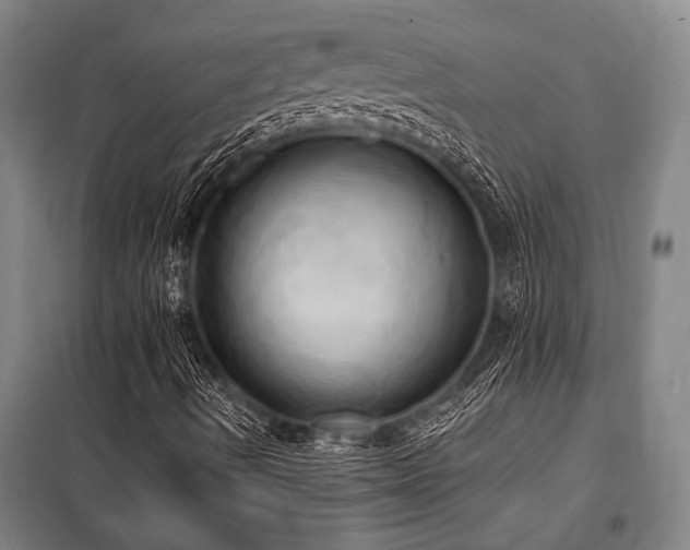 X0000101211490200806271402