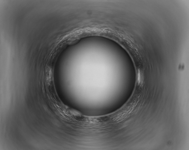 X0000101211492200806271402