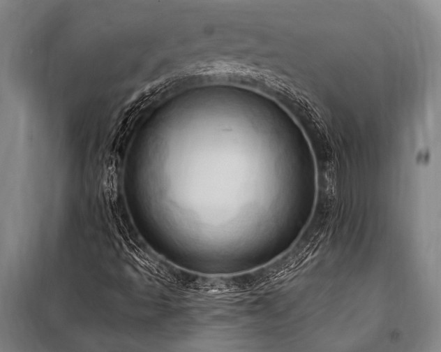 X0000101211493200806271402