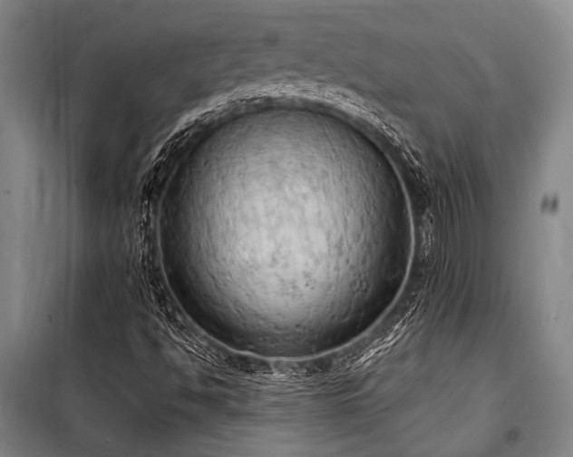 X0000101211494200806271402