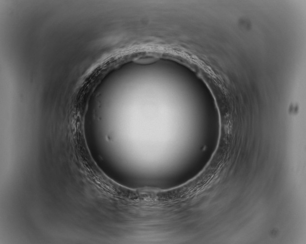 X0000101211495200806271402