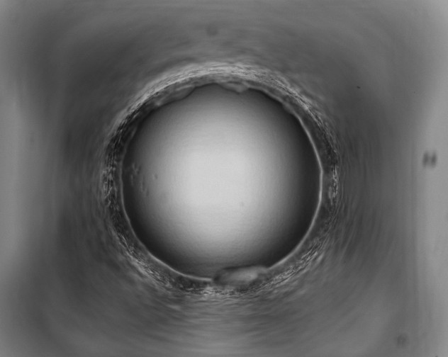 X0000101211496200806271402