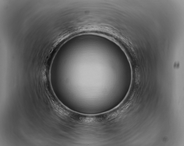 X0000101211497200806271402