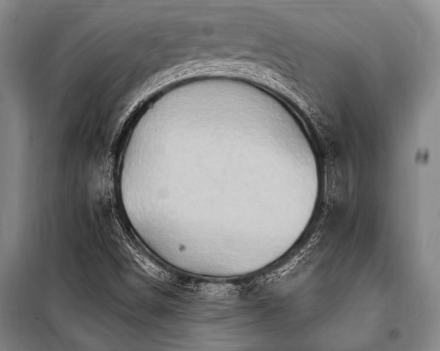 X0000101211498200806271402