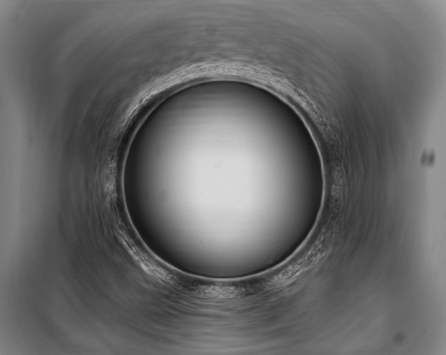 X0000101211499200806271402