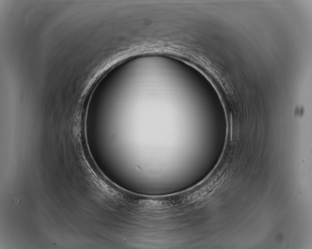 X0000101211500200806271402