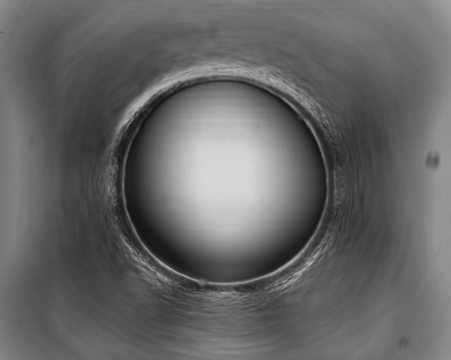 X0000101211502200806271402
