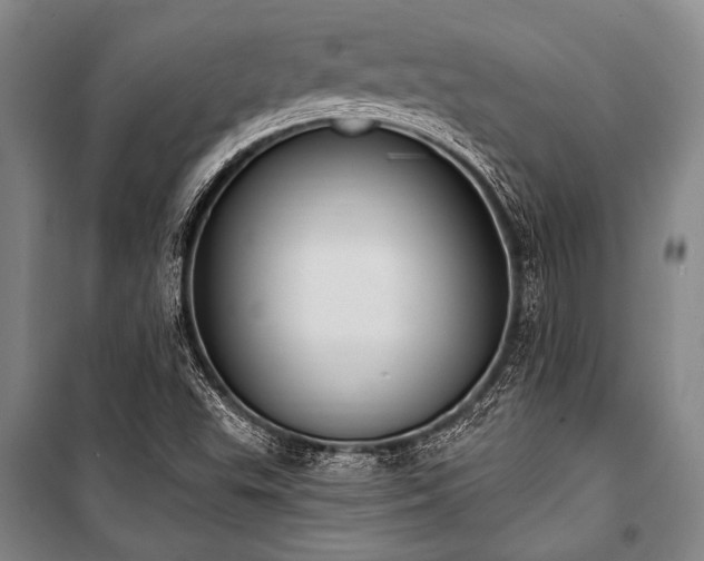 X0000101211503200806271402