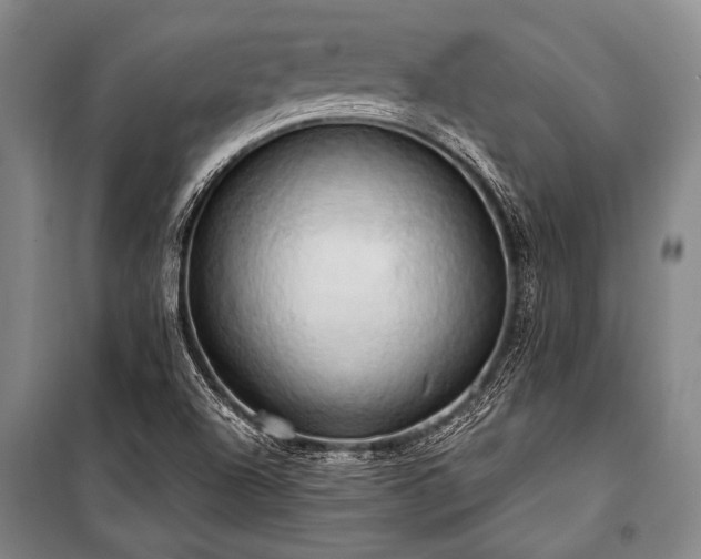 X0000101211504200806271402