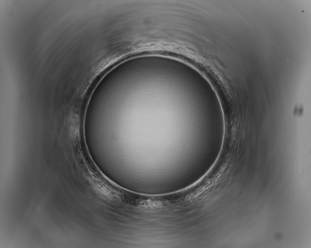 X0000101211505200806271402