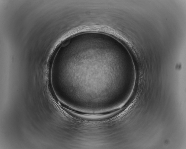 X0000101211506200806271402