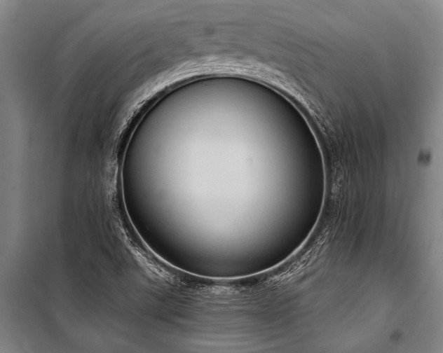 X0000101211507200806271402