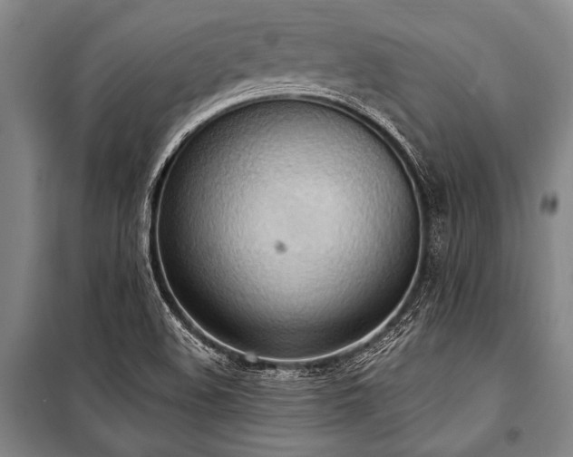X0000101211508200806271402