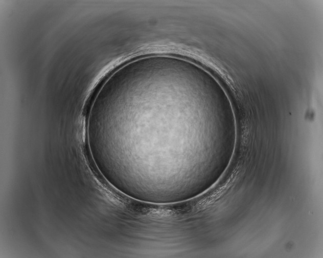 X0000101211509200806271402