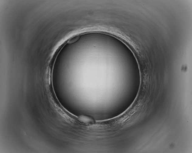 X0000101211510200806271402