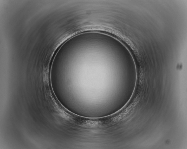X0000101211513200806271402