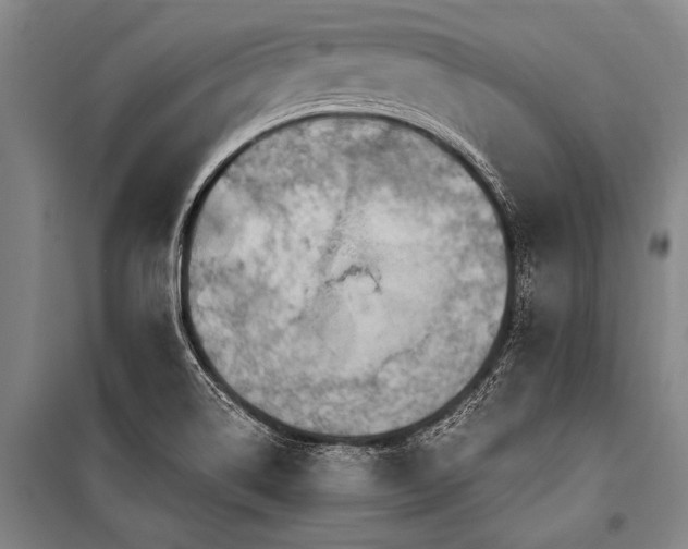 X0000101211514200806271402