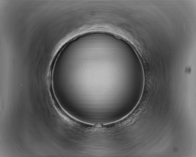 X0000101211519200806271402
