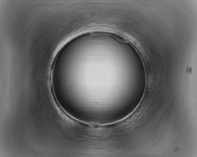X0000101211520200806271402