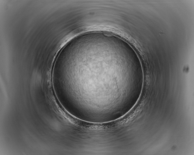 X0000101211521200806271402