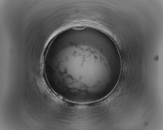 X0000101211522200806271402