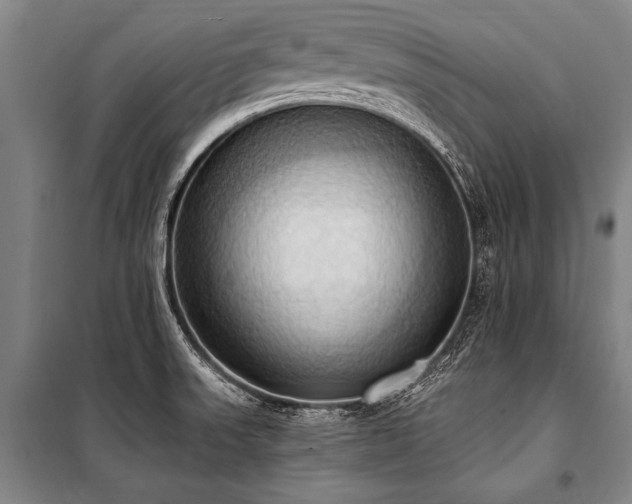 X0000101211523200806271402