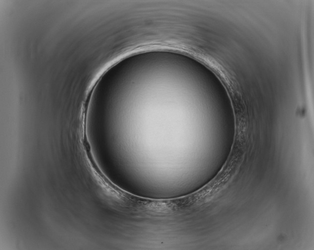 X0000101211524200806271402