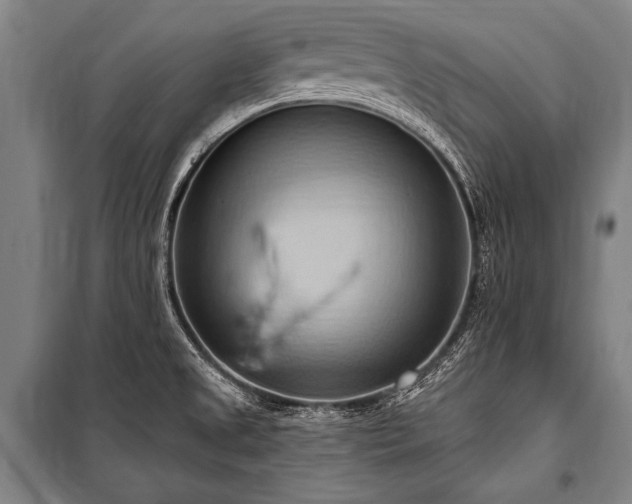 X0000101211525200806271402