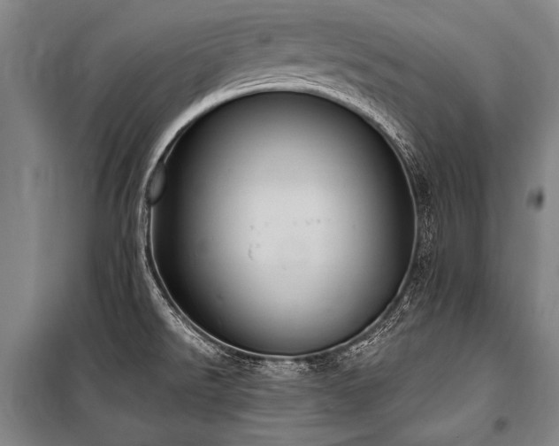 X0000101211526200806271402