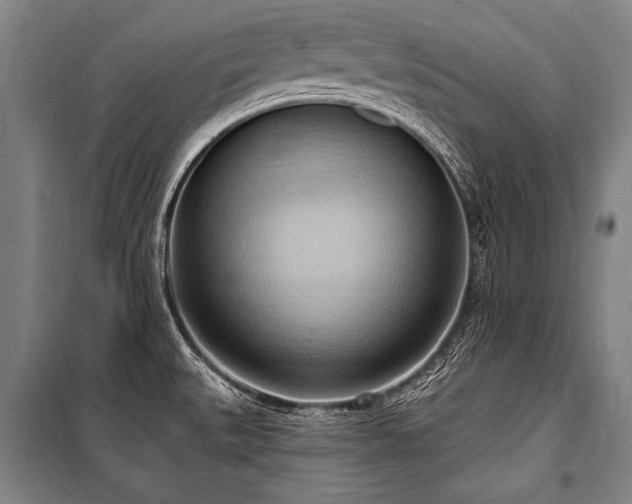 X0000101211527200806271402