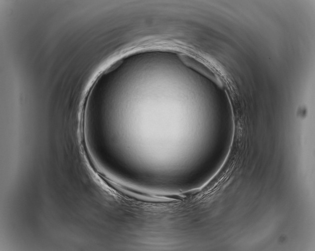 X0000101211528200806271402