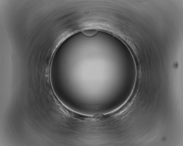 X0000101211529200806271402