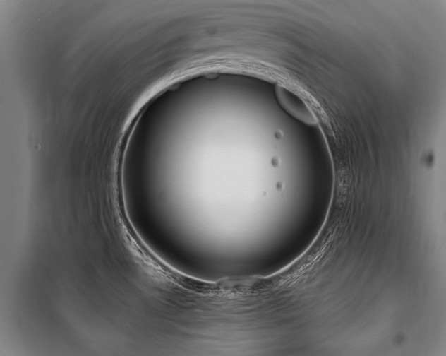 X0000101211530200806271402