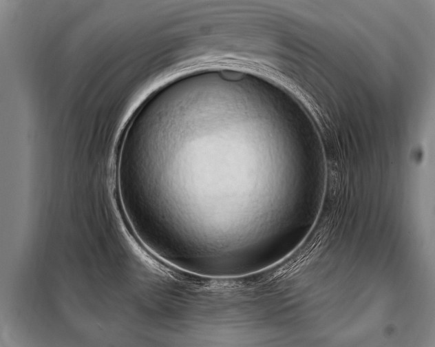 X0000101211531200806271402