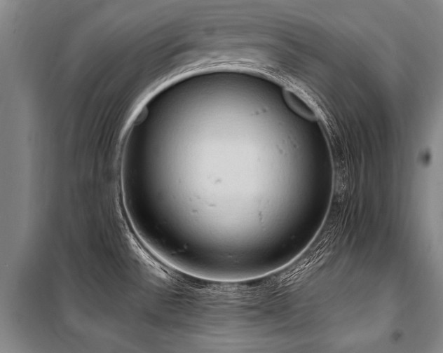 X0000101211532200806271402
