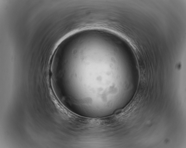 X0000101211534200806271402
