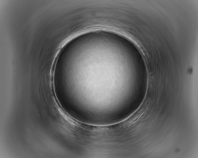 X0000101211535200806271402