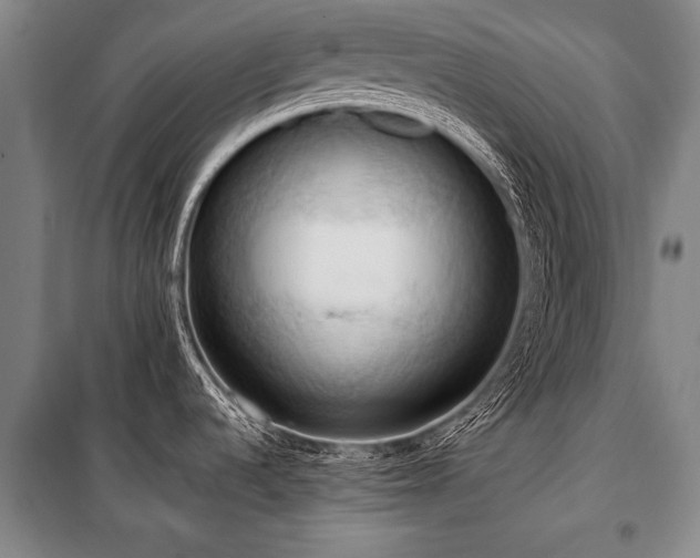 X0000101211536200806271402