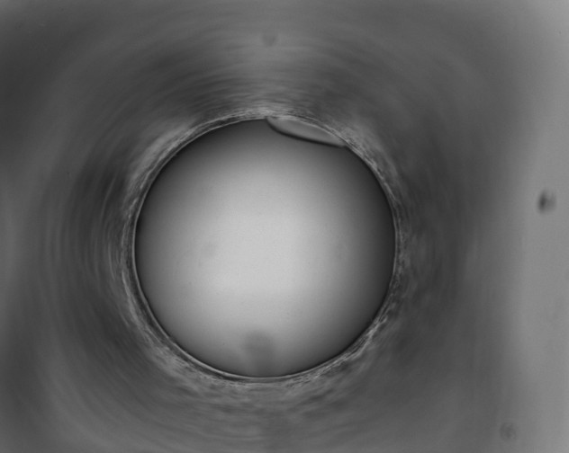 X0000101210001200807071350