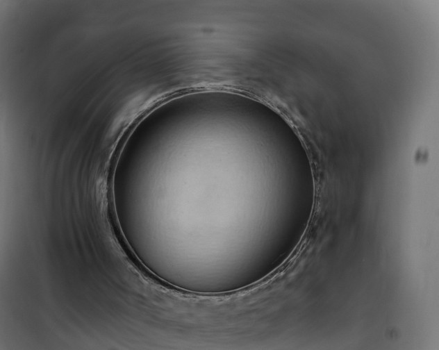 X0000101210002200807071350