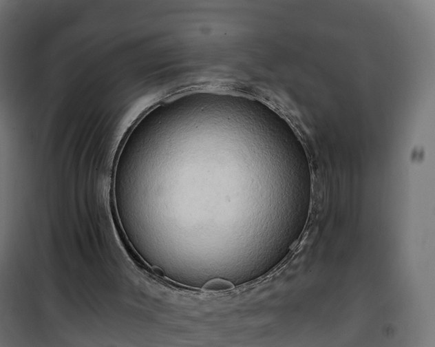 X0000101210003200807071350