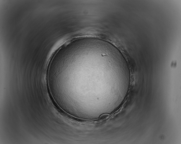 X0000101210004200807071350