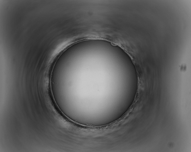 X0000101210005200807071350