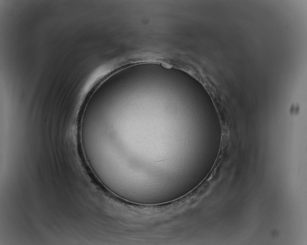 X0000101210006200807071350