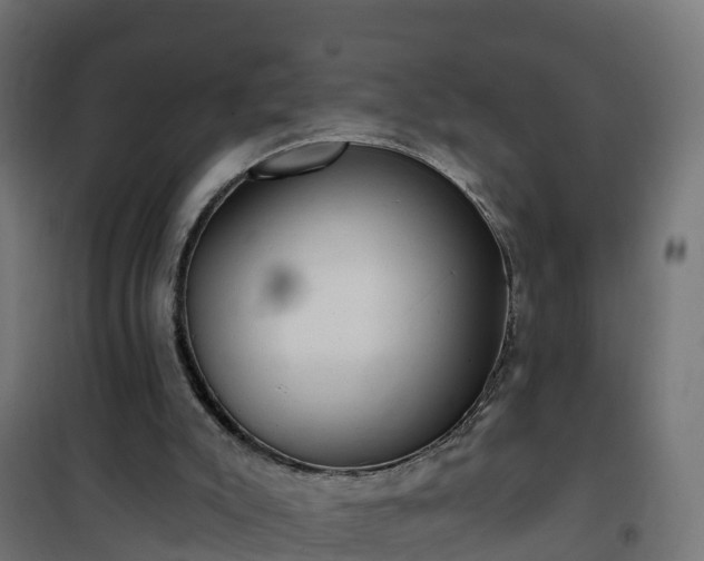 X0000101210007200807071350