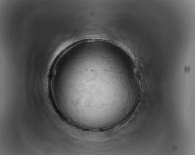 X0000101210008200807071350