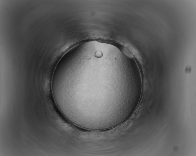 X0000101210009200807071350